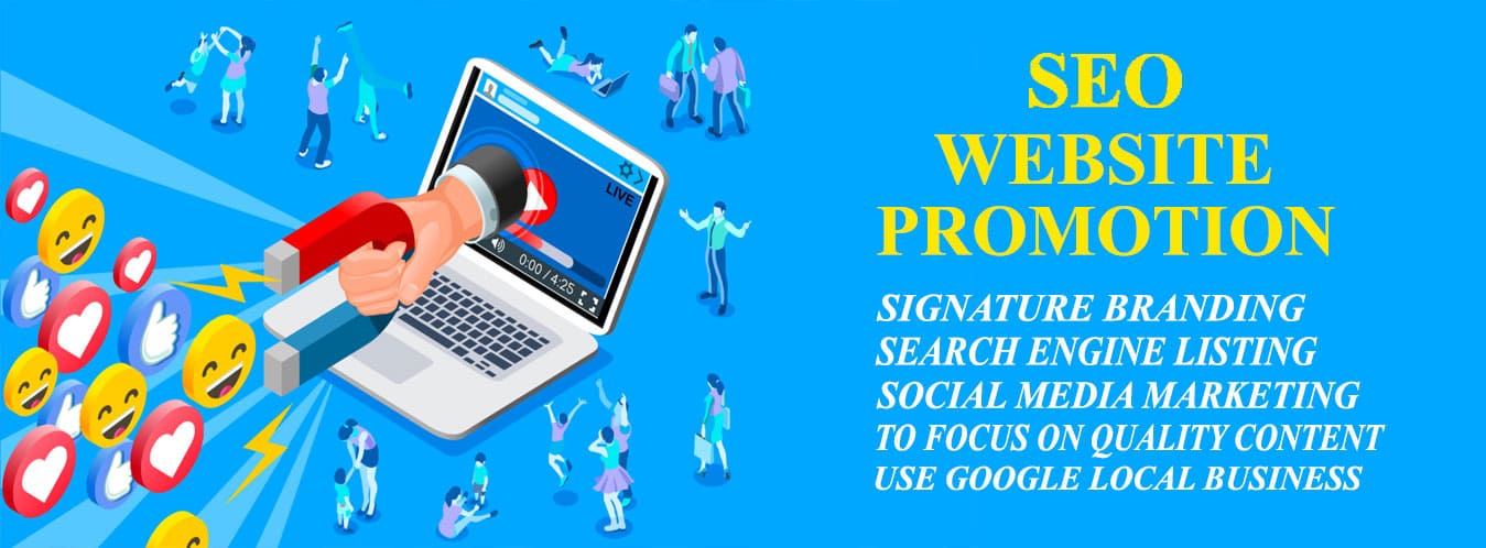 SEO Website Promotion in Chennai